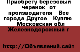 Приобрету березовый черенок  от производителя - Все города Другое » Куплю   . Московская обл.,Железнодорожный г.